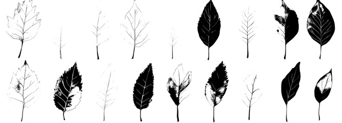 Poster - October's seasonal foliage is captured in a watercolor collection of hand-painted autumn leaves, featuring oak, maple, and gold leaf accents