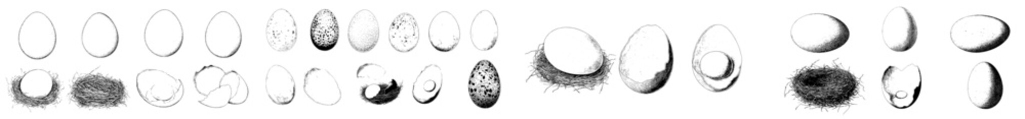 Aufkleber - The subject of eggs is depicted in a sketch, featuring a chicken, quail egg, hen, shell, nest, tray, yolk, and protein, all related to farming, agriculture, and natural food, shown in an