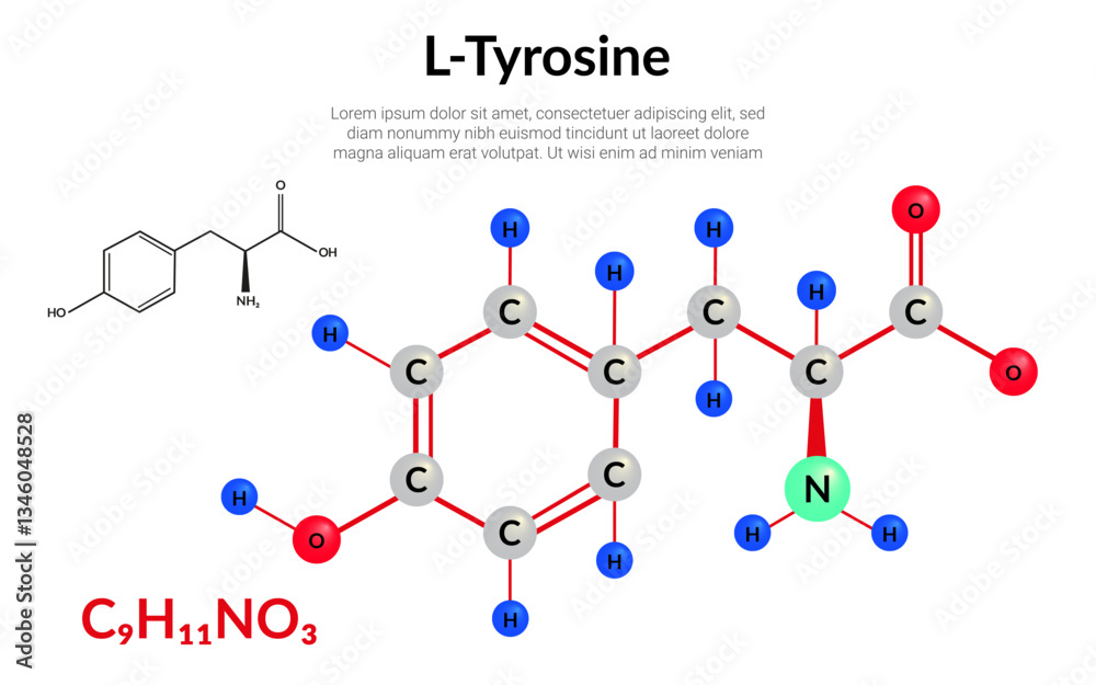 Stock-Vektorgrafik „Tyrosine (l-tyrosine, Tyr, Y) C9H11NO3, amino acid