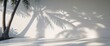 © Den Boro Day - v Dancing Shadows of Large Tropical Trees on Smooth White Wall.