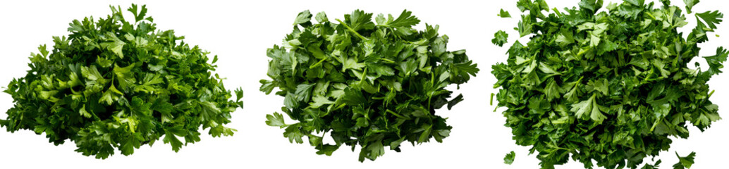 Poster - A white background isolates the fresh green leaves of chopped parsley