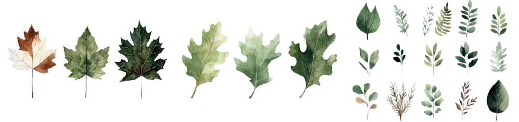 Poster - Hand drawing of autumn leaves in watercolor, featuring a collection of elements against a white background