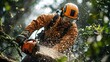 © Eakanan - Professional arborist using chainsaw to trim tree branches