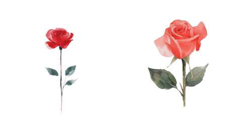 Aufkleber - The image features a red rose set against a white background, created in a watercolor style reminiscent of botanical art, perfect for Valentine's Day