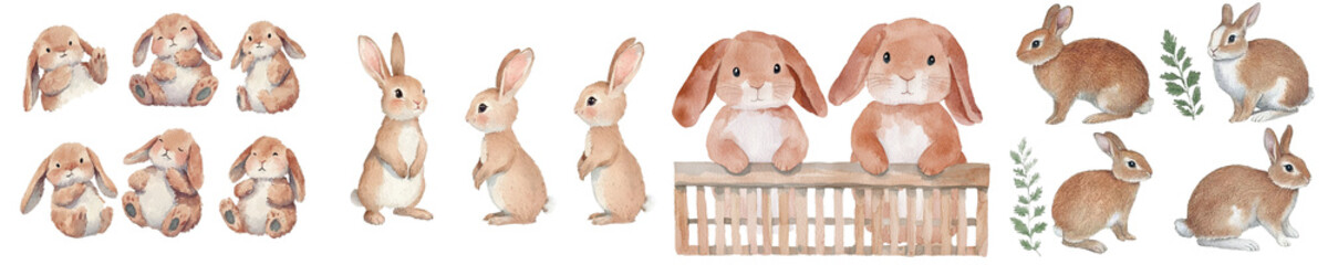 Poster - A cute animal, the Easter bunny, is beautifully represented in a watercolor illustration of a set of bunnies positioned on an isolated white background