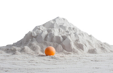 Poster - Buckwheat flour that is integral is isolated on a white background