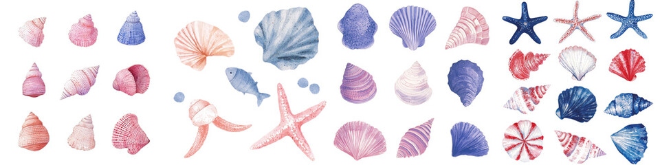 Aufkleber - This clipart features a hand-drawn watercolor design of seashells and starfish, presented on a simple yet elegant isolated white background, perfect for summer themes