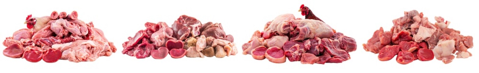 Poster - Fresh raw lungs from a young lamb are pictured on a plain white background