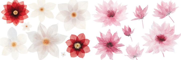 Aufkleber - Dahlia flowers are depicted in a watercolor botanical painting set against a plain white background
