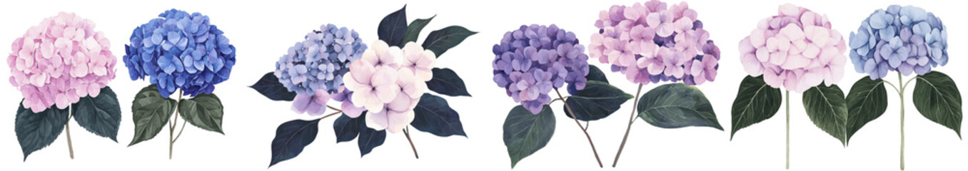Aufkleber - On a white background, a watercolor drawing shows a beautiful bouquet of hydrangea flowers