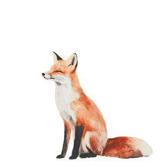 Poster - Watercolor art featuring a cut fox on a white background, designed for use in animal-themed print materials