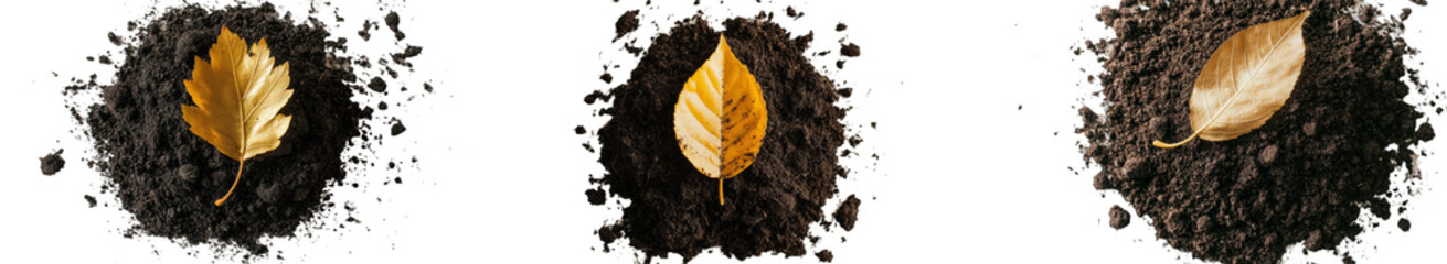 Poster - In the fall or autumn season, a collection of dirt and soil is paired with yellow leaves from a birch tree, all of which are isolated on a white background