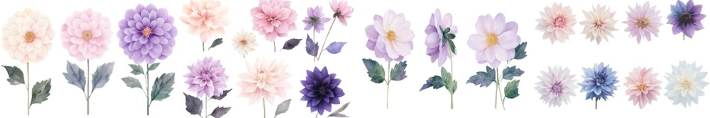 Aufkleber - Pink dahlia flowers illustrated in watercolor make for a lovely botanical piece