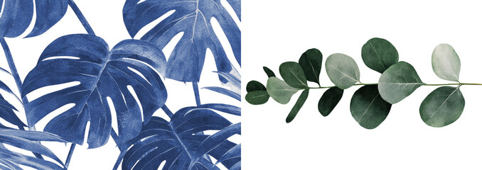 Poster - Flora design elements are showcased in a watercolor botanical illustration of tropical plant leaves on a white background