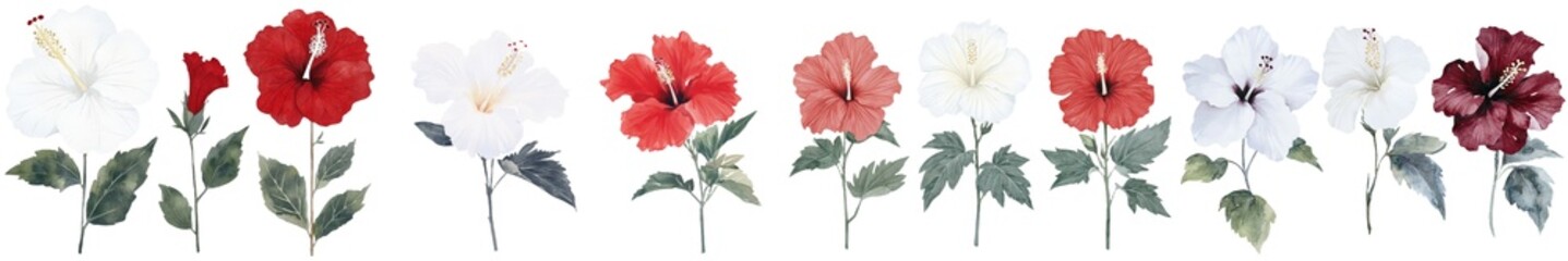 Poster - Illustration of a Hibiscus set, featuring flowers, leaves, and buds, in watercolor style on white