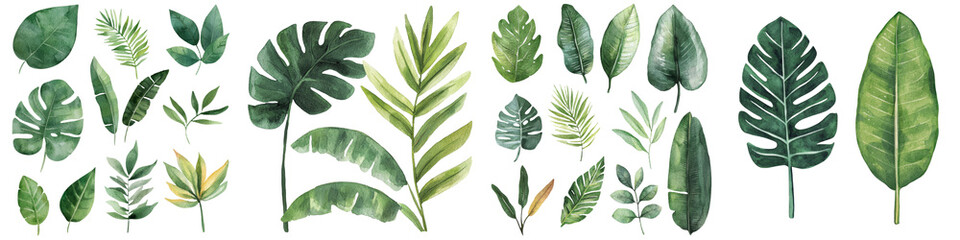 Aufkleber - Watercolor style palm leaves are shown on an isolated white background