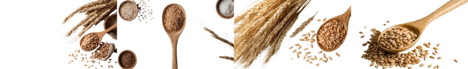 Aufkleber - Spelt grains are stacked with yellow wheat ears that have ripened and a wooden spoon against a white background