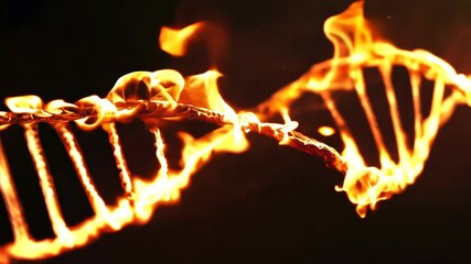 Poster - Fiery DNA Strand Structure Abstract Glowing Golden and Orange in 4K.