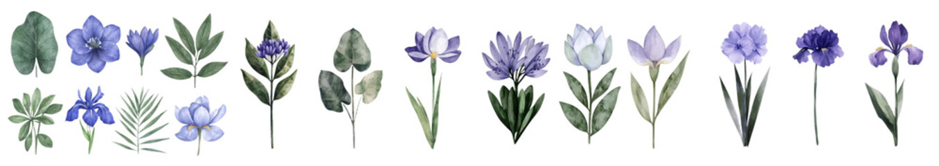 Poster - A botanical painting featuring a set of flowers, including a lotus, an orchid, bellflowers, and a palm leaf, all drawn in watercolor on a white isolated background, highlighting flora