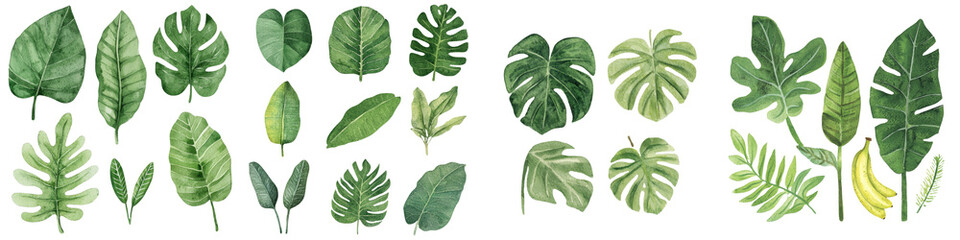 Poster - A jungle design is created using a watercolor illustration of tropical plants, which have green leaves and are set against a white background