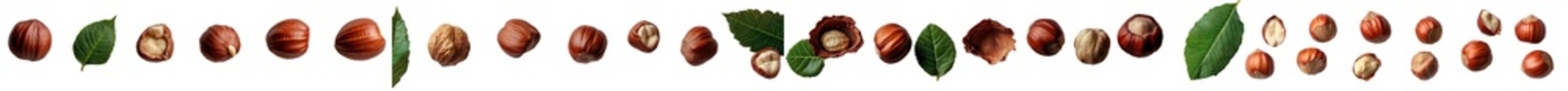 Poster - The image depicts a hazelnut arrangement set against a white background, with both whole and broken nuts and their leaves