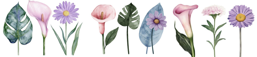 Poster - The watercolor botanical illustration showcases tropical flowers, leaves, and succulent on a background that is isolated