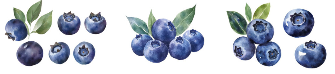 Aufkleber - Botanical illustration featuring a set of blueberries, created in watercolor, on a clean white isolated background