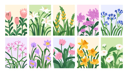 Poster - Floral card designs with blooming flowers. Botanical posters with spring and summer garden blossoms, chrysanthemum, daffodil, lily, protea, ranunculus, nature background. Flat vector illustrations