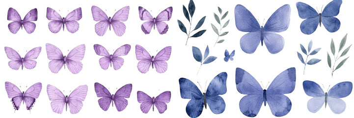 Poster - On a clean white background, a watercolor illustration beautifully captures a set of purple butterflies, emphasizing the elegance of a single butterfly