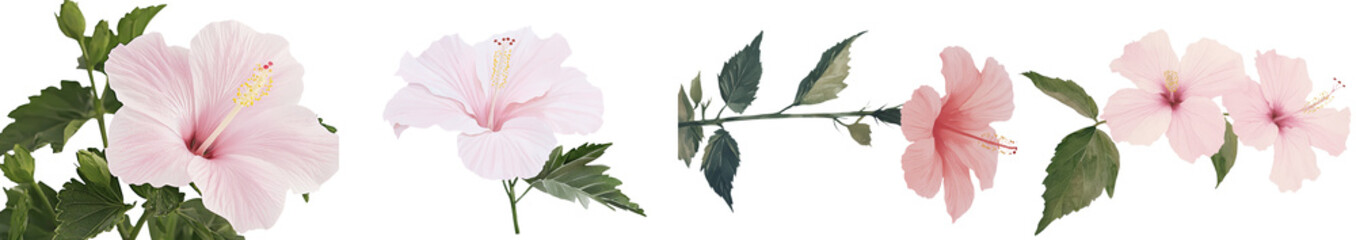 Fototapete - Tropical flora, including hibiscus and palm leaf, are the focus of a beautiful watercolor botanical painting with leaves and flowers on an isolated background