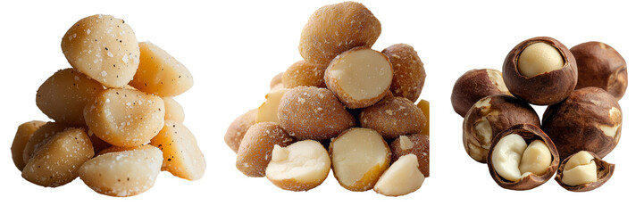 Poster - Macadamia nuts on a transparent background are generated using stock techniques