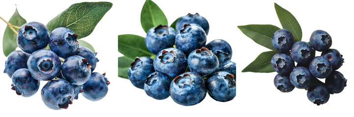 Poster - Isolated on a transparent background is a branch of ripe blueberries, generated by Generative Ai