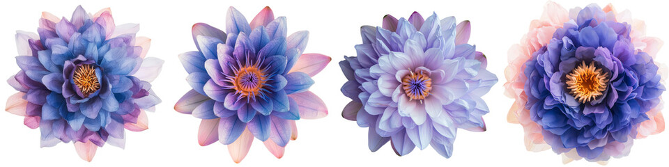 Poster - On a transparent background, a purple lotus flower stands alone, generated by the power of Ai