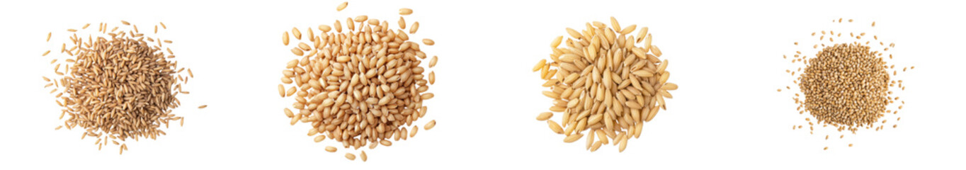 Poster - Unhulled and uncooked brown rice is presented in isolation on a white surface from directly above
