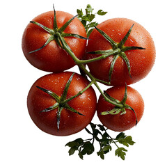 Poster - On a transparent background, an isolated grilled slice of tomato was generated using Generative Ai