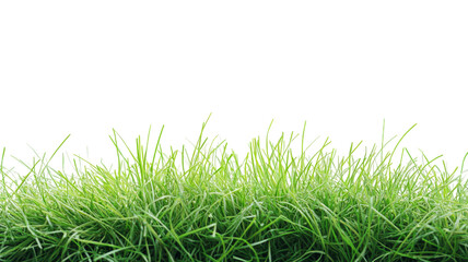 Wall Mural - green grass growing on transparent background for easy integration