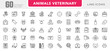 © RI Rafiq - Veterinary, pet, vet, pet shop, dog care, training, cat, food line icons set collection. Outline icon collection. Pets line icons. Lovely animals icon pack. Vaccine, pet care, and dog paw