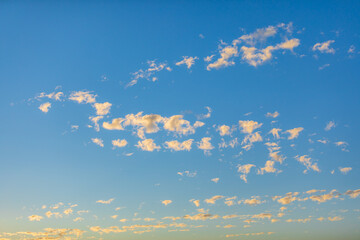 Wall Mural - blue sky and small white clouds. at evening time. warm light tone of the sky.