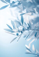 Poster - Soft Blue Background of Olive Branch with Delicate Leaves and Fruits, Creating a Serene and Calming Atmosphere for Nature Lovers and Art Enthusiasts