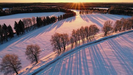 Wall Mural - sunrise over snowy landscape with trees casting long shadows in winter