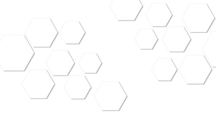 Poster - abstract white and gray hexagon technology lines background. abstract white and grey color hexagonal