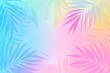 © Andres Mejia - Tropical palm leaves creating colorful pastel background