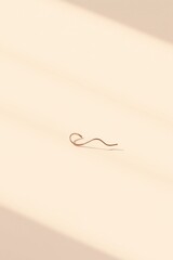 Wall Mural - Minimalist hook design on a soft pastel background showcasing elegance and simplicity for artistic purposes