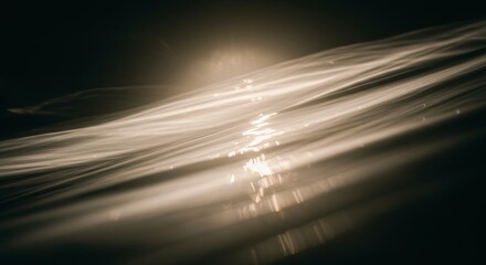 Poster - The image is a black and white photo of a body of water with a sun shining on it