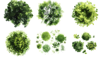 green grass isolated on white background, set of watercolor tree top view for landscape plan and arc
