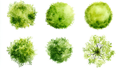 green grass isolated on white background, Set of watercolor tree top view for landscape plan and architecture layout  