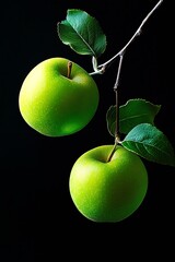 Poster - Two perfect green apples hanging from a branch with lush leaves against a dark background : Generative AI