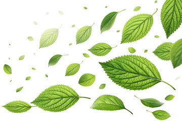 Wall Mural - seamless pattern with leaves
