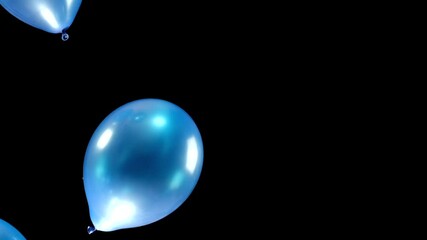 Wall Mural - Watch as blue balloons gently fall on the left side of the screen, set against a striking black background. The contrast creates a dynamic and captivating visual effect.