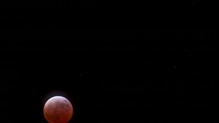Wall Mural - beginning of the maximum total lunar eclipse on march 14th, 2025 as the moon turns blood red